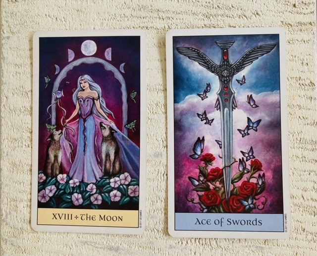 Claire Chilvers Free Weekly Tarot Reading